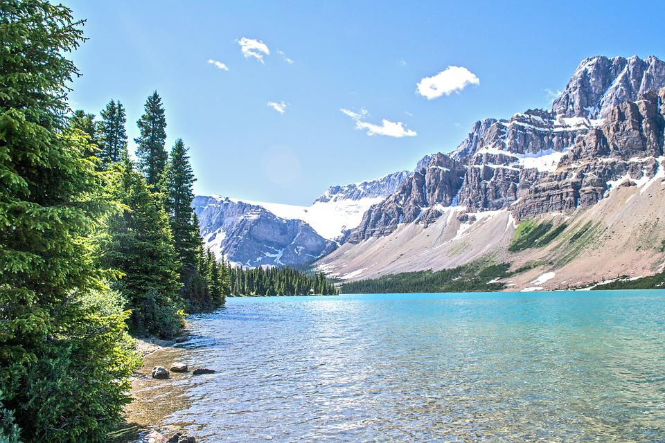 Ecology Picture: Ecological Landscape