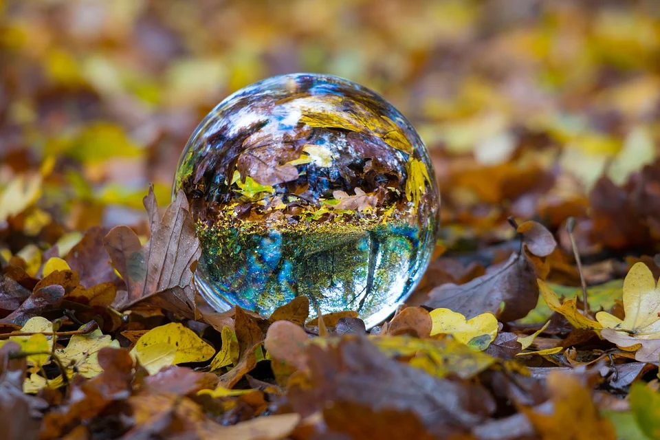 Morality Picture: Glass Ball on Leaves