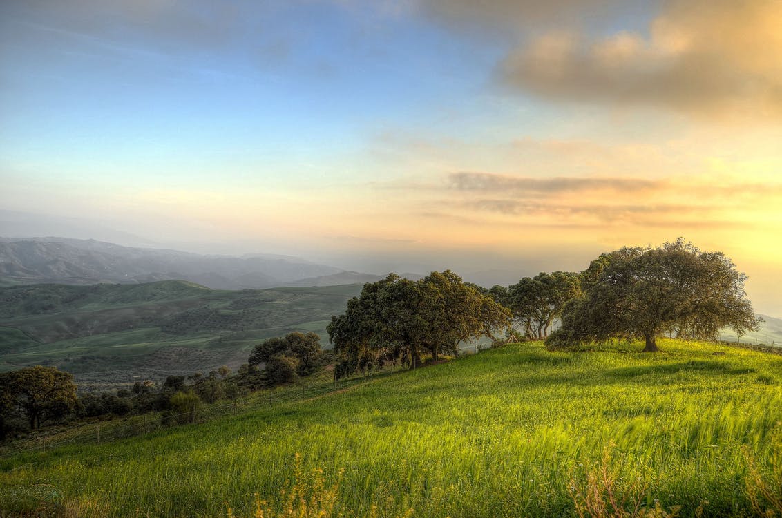 Rising Measurement: Field