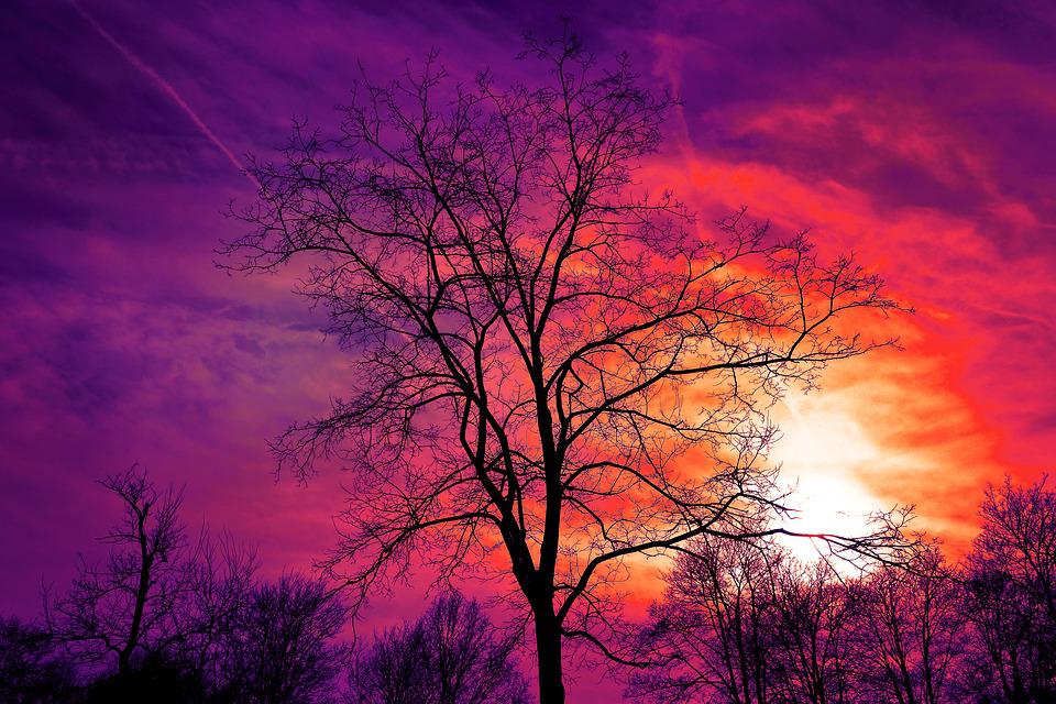 Picture: Beauty: Purple Sunset