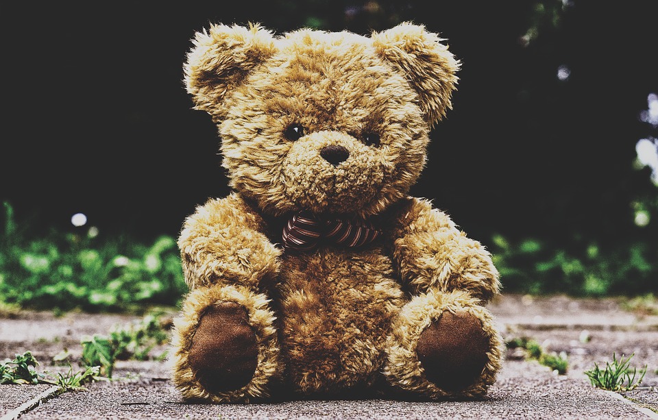 Picture: Gifting: Teddy Bear
