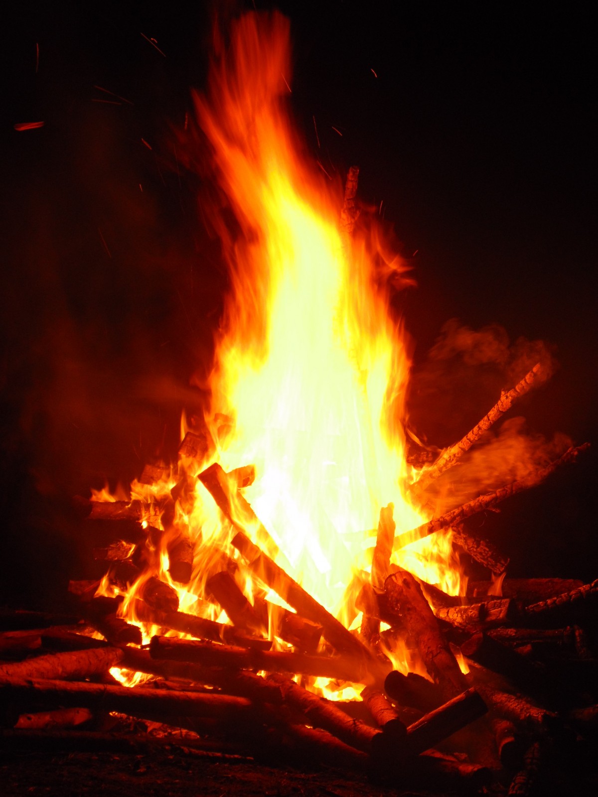 Picture: Survival: Fire
