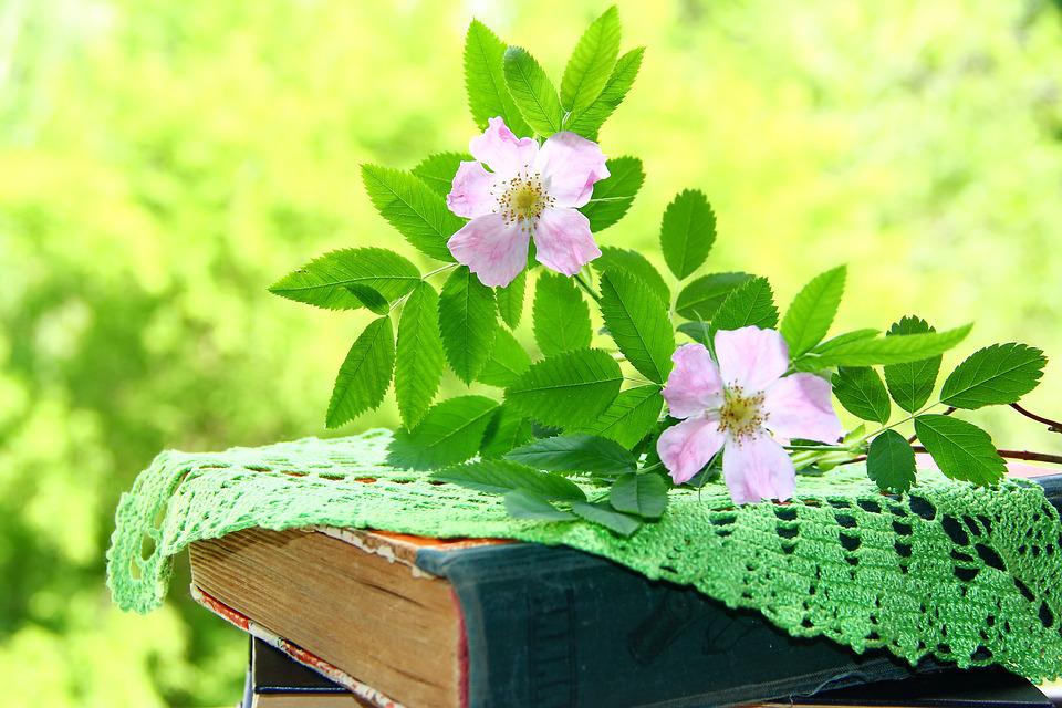 Picture: Truth: Green Book in Nature